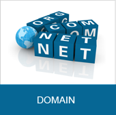 dich vu domain