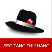 dich vu seo